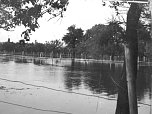 Hochwasser in Altendorf  (Foto: Ulrich Reinboth)