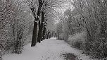 Winter unterm Kyffh&auml;user (Foto: U.Reinboth)