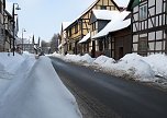 Wintergr&uuml;&szlig;e (Foto: Ch. Wiesemann)