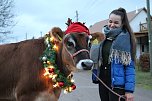 Adventsausflug mit dem Ochsen Tabaluga (Foto: S.Dietzel)