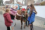 Adventsausflug mit dem Ochsen Tabaluga (Foto: S.Dietzel)