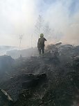 Waldbrand im Birkenmoor (Foto: Fotos: Freiwillige Niedersachswerfen , Freiwillige Feuerwehr Ilfeld/Wiegersdorf / Silvio Dietzel)