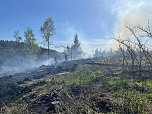 Waldbrand im Birkenmoor (Foto: Freiwillige Feuerwehr Neustadt - Osterode)