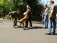Gemeinsam geübt Bild: Gemeinsam geübt