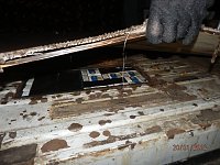 "Kippen" entdeckt Bild: "Kippen" entdeckt