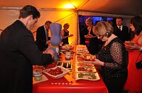 Bild: Fr&uuml;hlingsball 2012