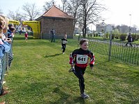 Bild: 34. Kyffh&auml;userberglauf (2)
