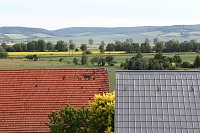 Bild: Jungst&ouml;rche werden beringt