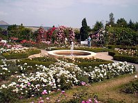 105 Jahre Europa-Rosarium Bild: 105 Jahre Europa-Rosarium