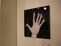Bild: Photokina K&ouml;ln 2008
