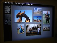 Bild: Photokina K&ouml;ln 2008