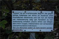 Bild: Affenwald Erlebnispark Strau&szlig;berg