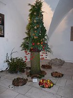Bild: Geschichte des Weihnachtsbaumes
