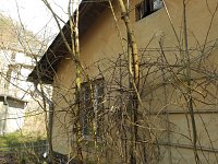 Bild: Abstecher nach Wendefurth