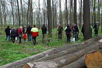 Bild: Aufbruch in den Wald. Jeder suchte nun die Stelle, an der er eine Roteiche pflanzen und - f&uuml;r sp&auml;tere Besuche sehr praktisch - ein Namensschild hinstellen konnte.
