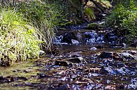 Bild: Unterwegs im Naturpark S&uuml;dharz