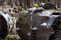 Bild: Unterwegs im Naturpark S&uuml;dharz