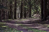 Bild: Unterwegs im Naturpark S&uuml;dharz