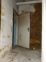 Bild: Villa im Harz
