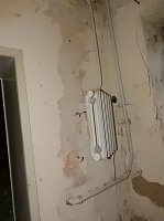 Bild: Villa im Harz