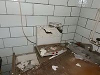 Bild: Villa im Harz