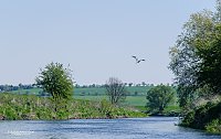 Bild: Auf der Unstrut unterwegs
