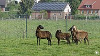 Bild: Wanderung im Morgengrauen