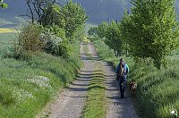 Bild: Wanderung im Morgengrauen