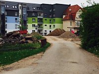 Bild: Anlegen der Parkanlage in Bleicherode