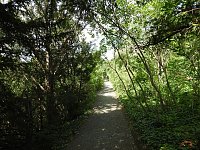 Bild: Die Rosenburg