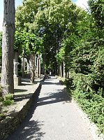 Bild: Die Rosenburg