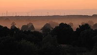 Spinnen im Mondschein am Goitzsche See Bild: Spinnen im Mondschein am Goitzsche See