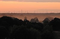 Spinnen im Mondschein am Goitzsche See Bild: Spinnen im Mondschein am Goitzsche See