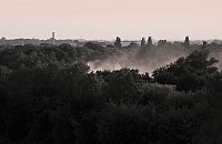 Spinnen im Mondschein am Goitzsche See Bild: Spinnen im Mondschein am Goitzsche See