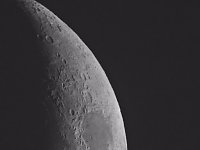 Spinnen im Mondschein am Goitzsche See Bild: Spinnen im Mondschein am Goitzsche See