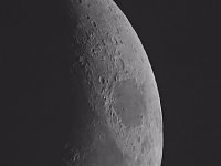 Spinnen im Mondschein am Goitzsche See Bild: Spinnen im Mondschein am Goitzsche See