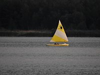 Spinnen im Mondschein am Goitzsche See Bild: Spinnen im Mondschein am Goitzsche See
