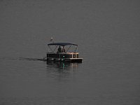 Spinnen im Mondschein am Goitzsche See Bild: Spinnen im Mondschein am Goitzsche See