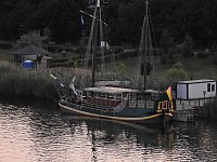 Spinnen im Mondschein am Goitzsche See Bild: Spinnen im Mondschein am Goitzsche See