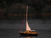 Spinnen im Mondschein am Goitzsche See Bild: Spinnen im Mondschein am Goitzsche See