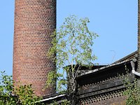 Malzfabrik Köthen Bild: Malzfabrik Köthen