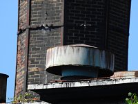 Malzfabrik Köthen Bild: Malzfabrik Köthen