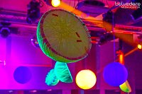 Wir bekennen Farbe! - so hieß das Motto der Nacht vom Samstag zu Sonntag im Nordhäuser Jugendclubhaus. Auf die Gäste wartete nicht nur jede Menge Licht, sondern auch jede Menge toller Musik. Wir haben wieder die Galerie für Sie zusammengestellt. Bild: Wir bekennen Farbe! - so hieß das Motto der Nacht vom Samstag zu Sonntag im Nordhäuser Jugendclubhaus. Auf die Gäste wartete nicht nur jede Menge Licht, sondern auch jede Menge toller Musik. Wir haben wieder die Galerie für Sie zusammengestellt.