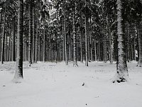 Unterwegs im winterlichen Harz Bild: Unterwegs im winterlichen Harz