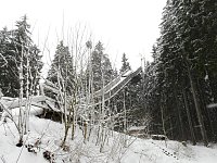 Unterwegs im winterlichen Harz Bild: Unterwegs im winterlichen Harz