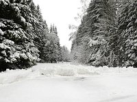 Unterwegs im winterlichen Harz Bild: Unterwegs im winterlichen Harz