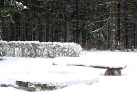 Unterwegs im winterlichen Harz Bild: Unterwegs im winterlichen Harz
