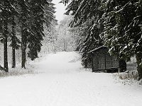 Unterwegs im winterlichen Harz Bild: Unterwegs im winterlichen Harz