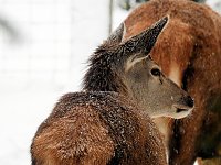 Unterwegs im winterlichen Harz Bild: Unterwegs im winterlichen Harz