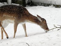 Unterwegs im winterlichen Harz Bild: Unterwegs im winterlichen Harz